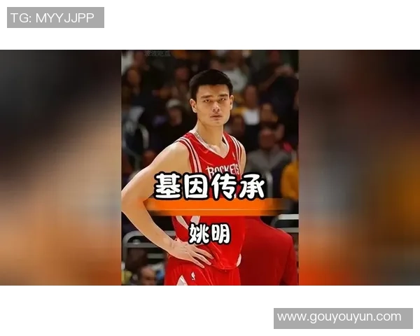 绿巨人姚明：从篮球场到巨人传奇的跨界之旅与影响力探讨