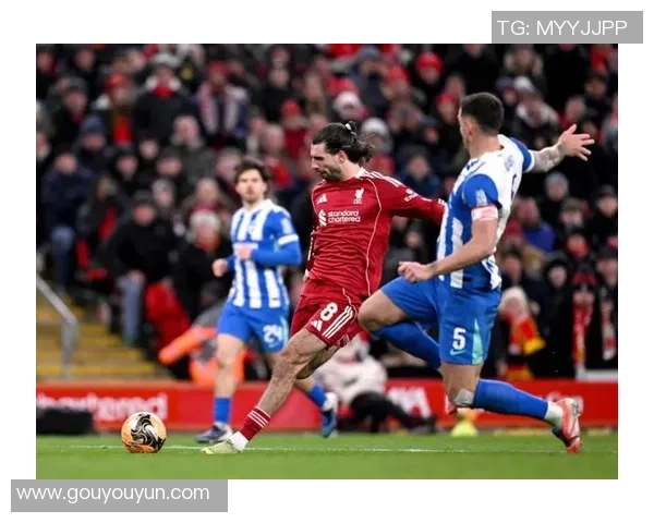 足总杯精彩对决利物浦大胜波尔图绝杀瞬间引发全场狂欢与转会传闻 足总杯精彩对决利物浦大胜波尔图绝杀瞬间引发全场狂欢与转会传闻